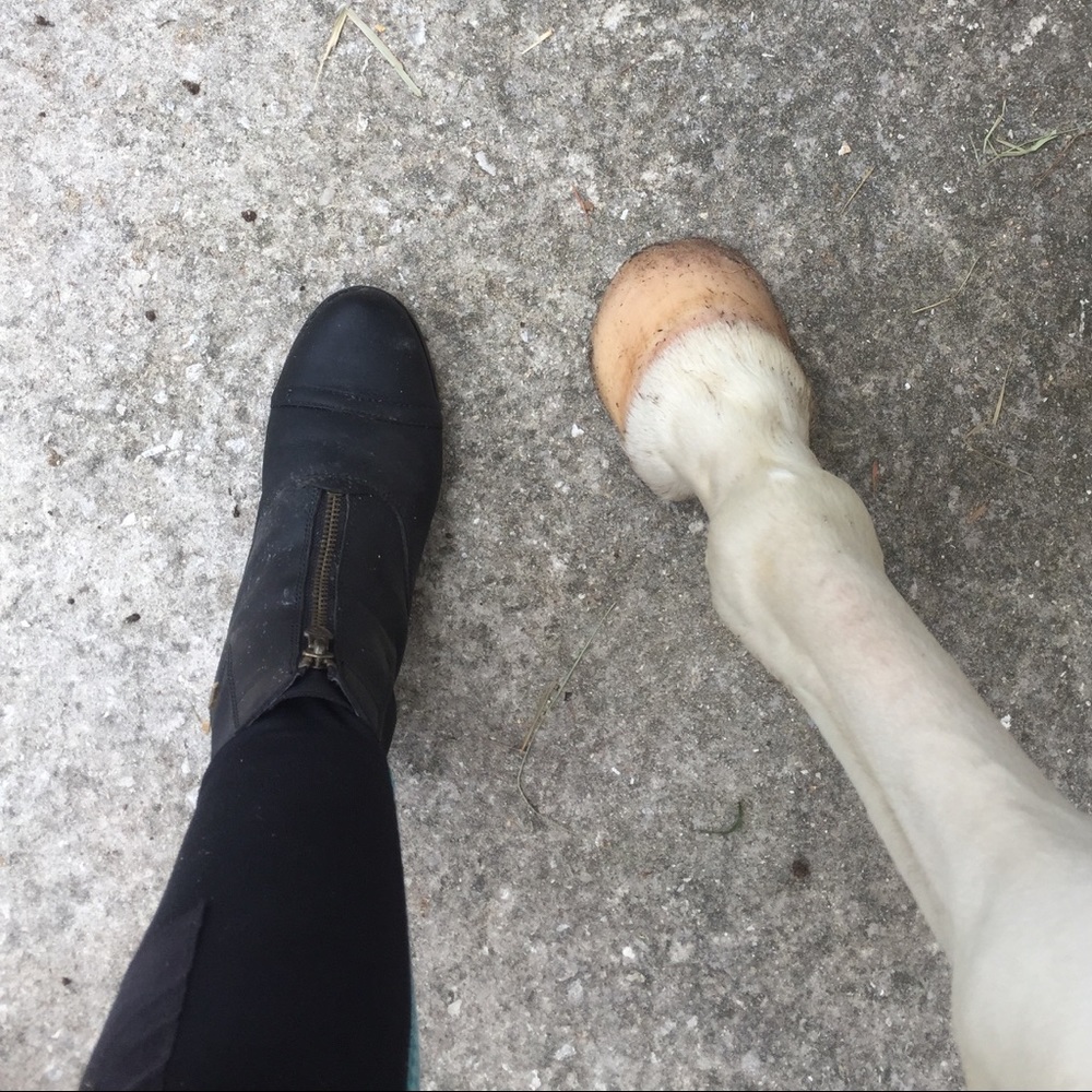 Meet your Posher, Olivia